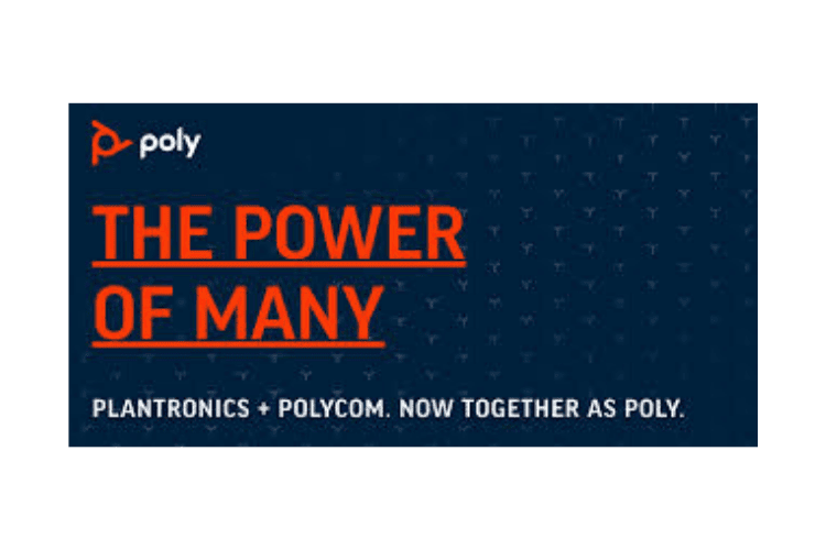 SUCCESSFUL PLACEMENT: POLY - SVP, AMERICAS