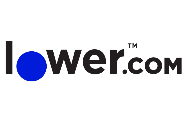 Lower Hires Chief Technology Officer