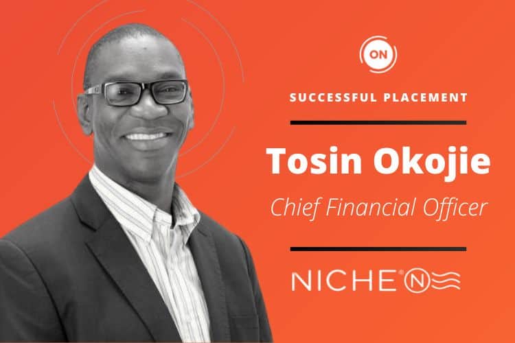 EXECUTIVE PLACEMENT: NICHE - CHIEF FINANCIAL OFFICER