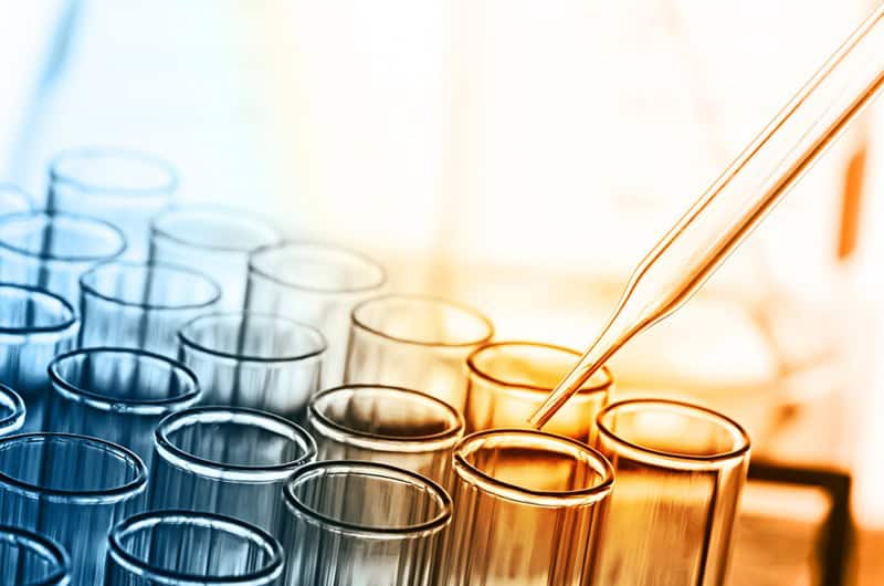 Successful Placement: Sangamo Therapeutics- Svp And Chief Medical Officer - ON Partners