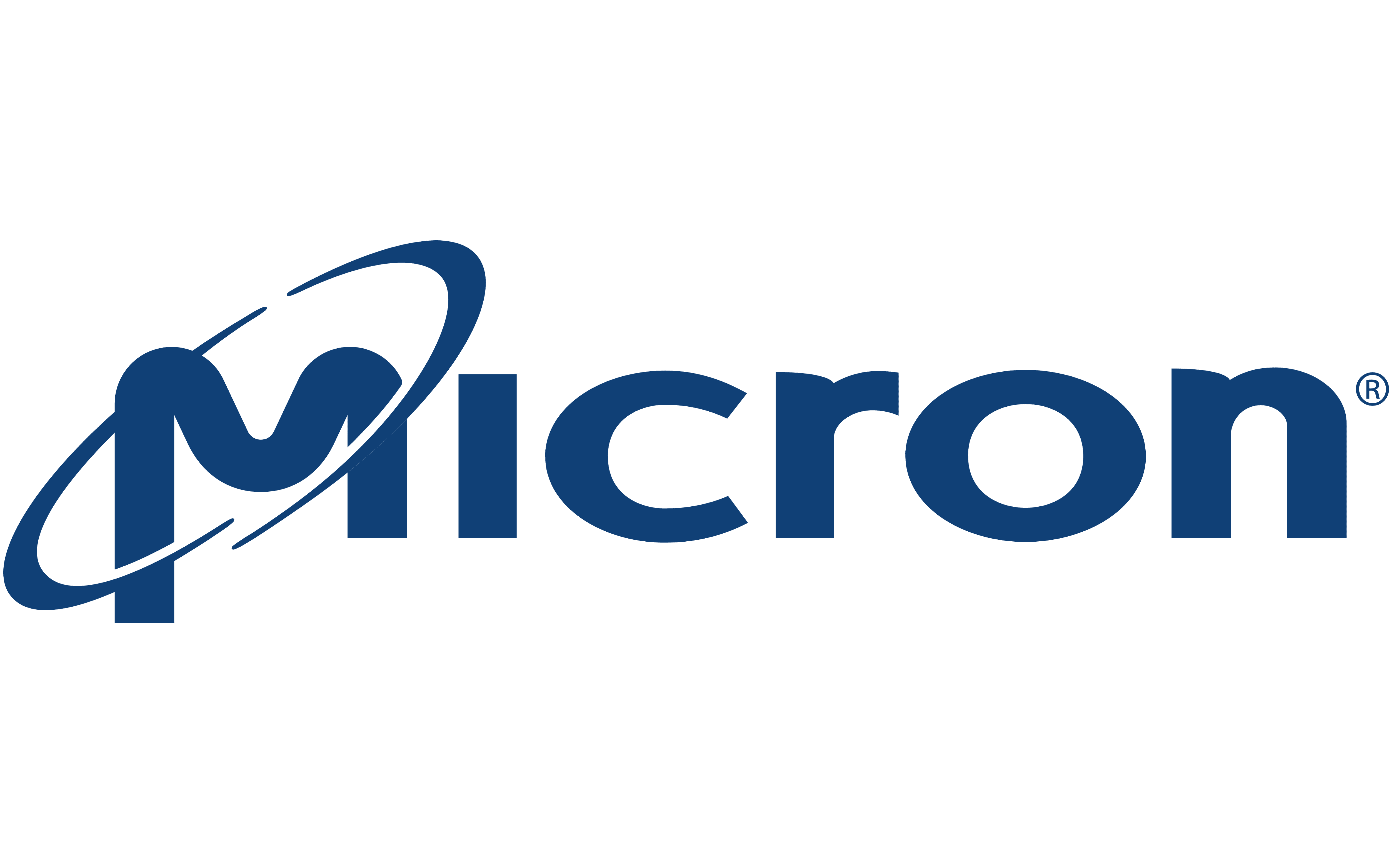 Micron1