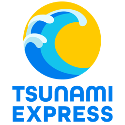 tsunami express car wash logo